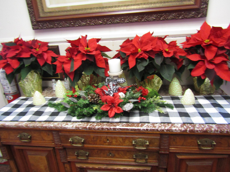 Christmas flowers