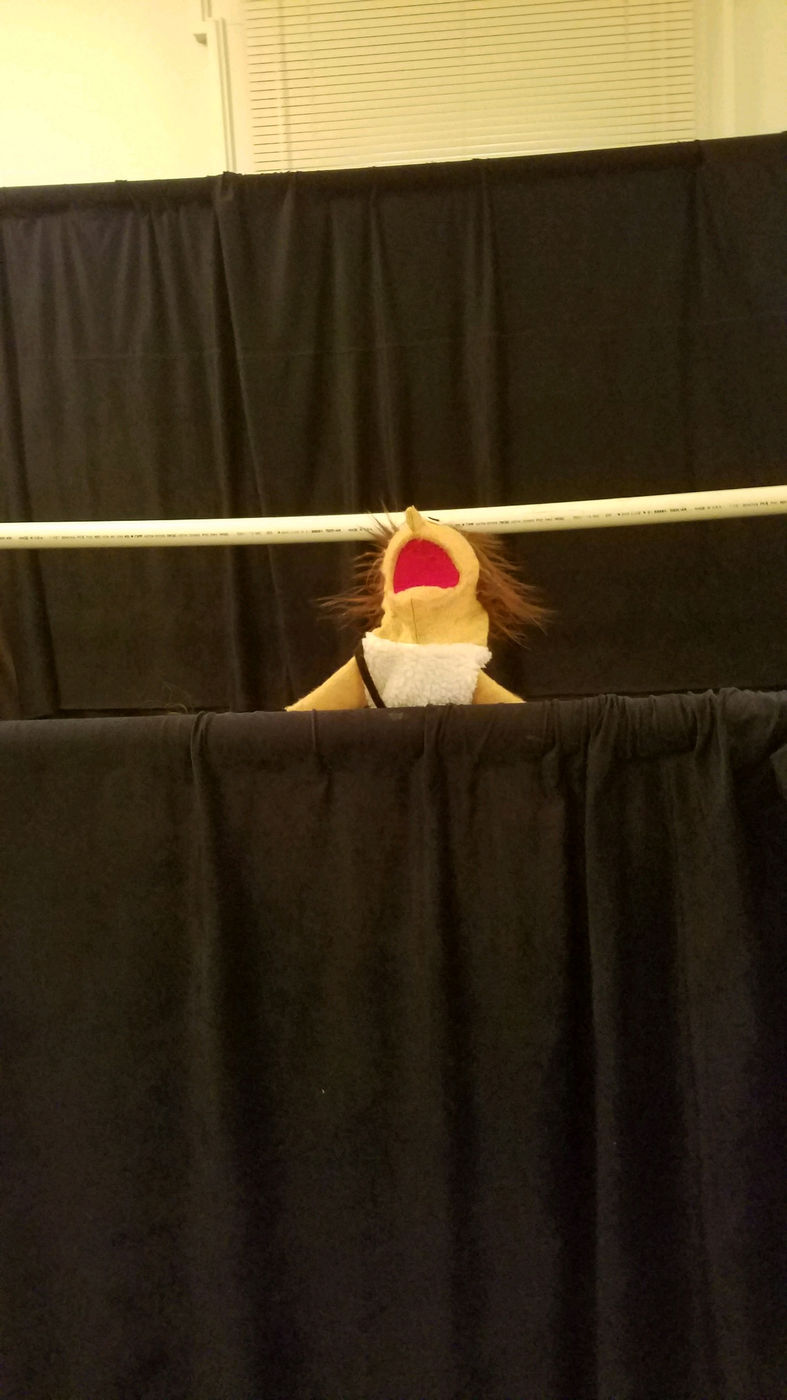 Youth puppet ministry